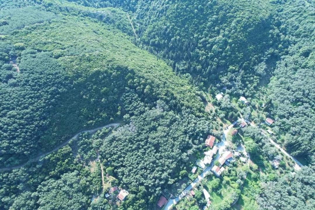 Klimatia Harry'S Retreat旅馆 外观 照片