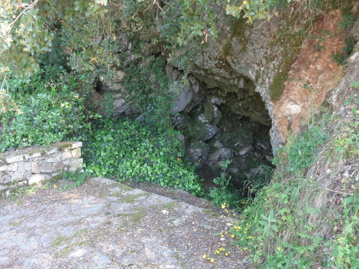 Klimatia Harry'S Retreat旅馆 外观 照片